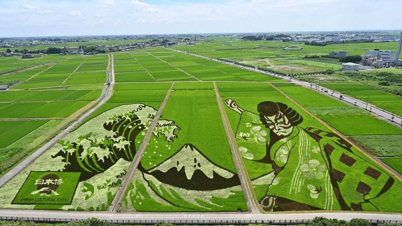 tanbo-art-gyoda-saitama tanbo-art-gyoda-saitama